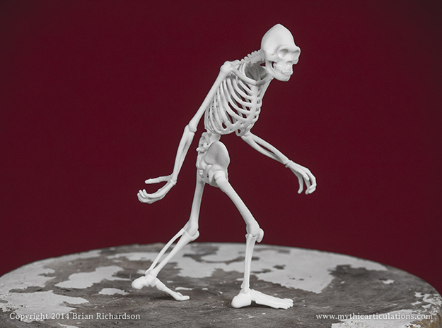 Sasquatch Skeleton in White Natural Versatile Plastic