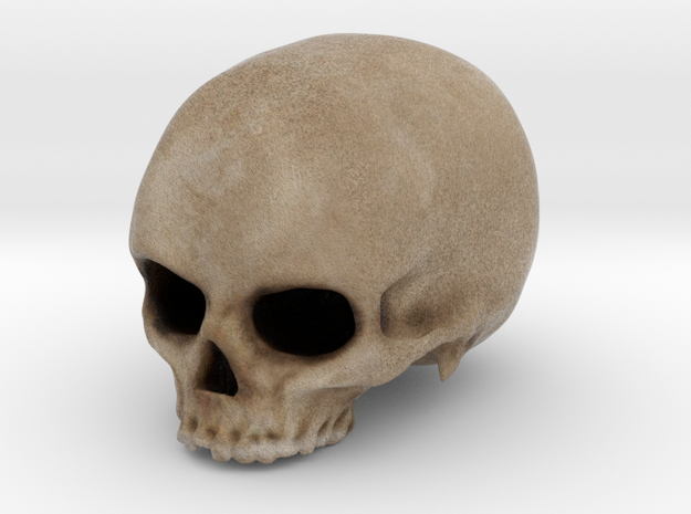 Skull in Color in Full Color Sandstone