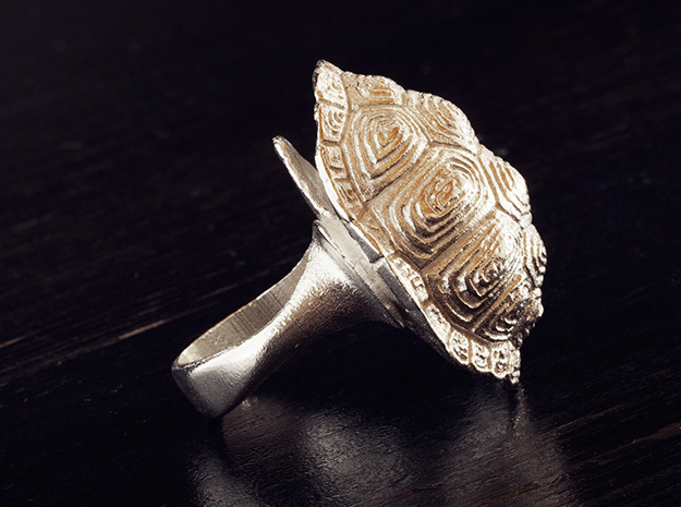 Turtle Shell Ring in Natural Silver: 5 / 49