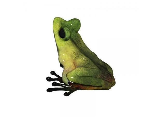Tree Frog 3.6cm in White Natural Versatile Plastic