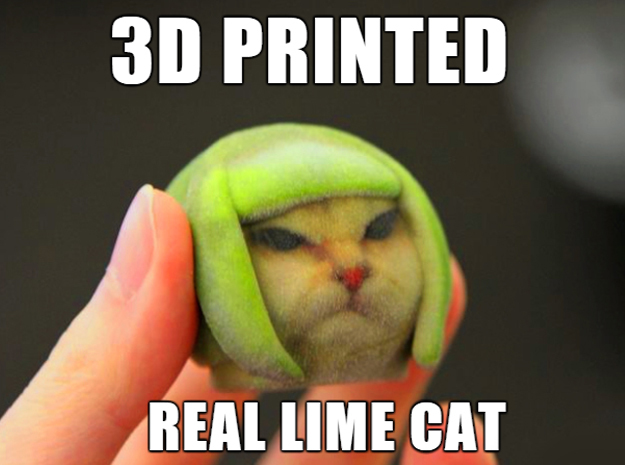 Lime Cat internet meme in Full Color Sandstone