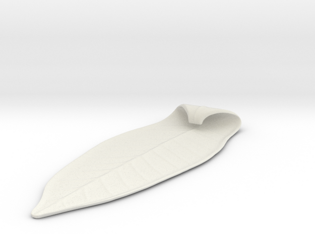 Leaf Sushi Platter in White Natural Versatile Plastic