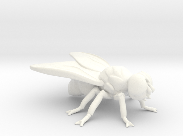 Fly  in White Processed Versatile Plastic