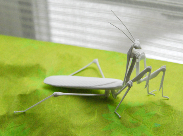 Articulated Mantis in White Natural Versatile Plastic