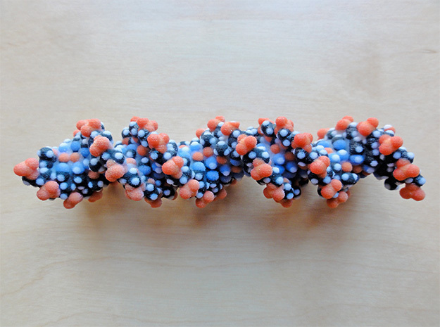OXT gene, coding Oxytocin, 1A = 1mm in Full Color Sandstone