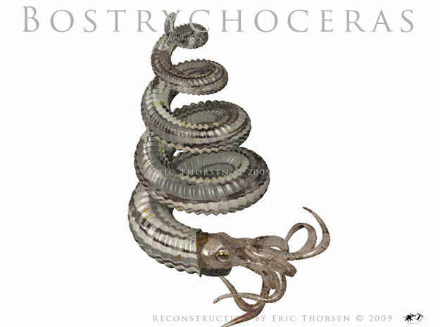 Bostrychoceras-8.5cm in Smooth Fine Detail Plastic