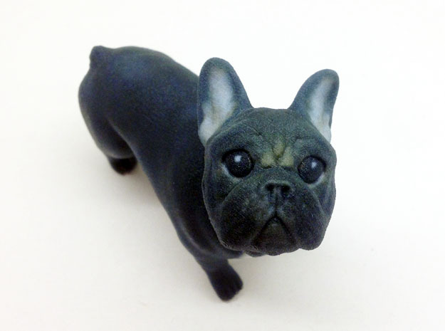 Looking Up Black Frenchie in Full Color Sandstone