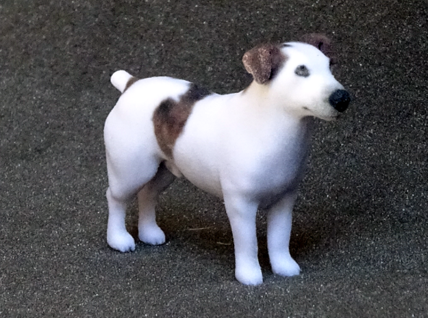 Brown Jack Russell Terrier in Full Color Sandstone