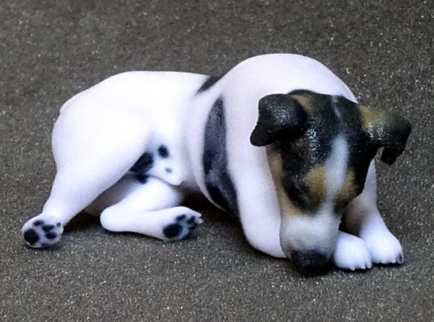 Laying Jack Russell Terrier 4 in Full Color Sandstone