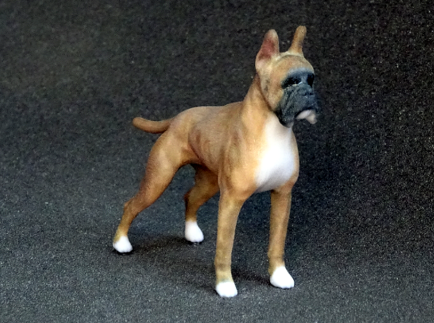 Red Fawn Boxer in Full Color Sandstone