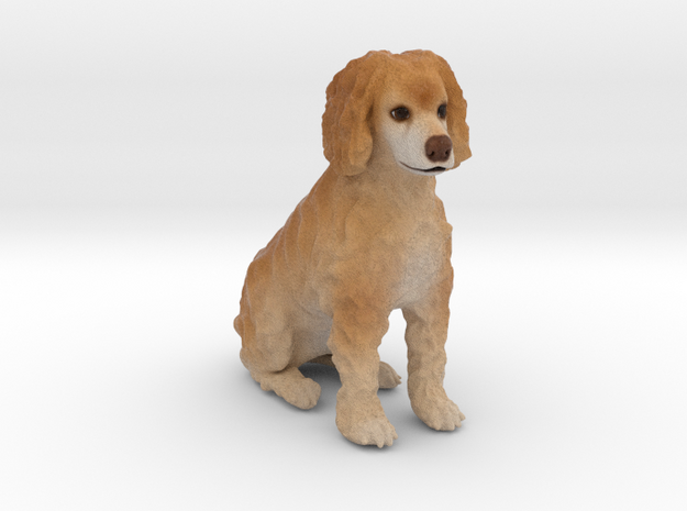 Custom Dog Figurine - Jena in Full Color Sandstone