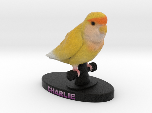 Custom Bird Figurine - Charlie in Full Color Sandstone