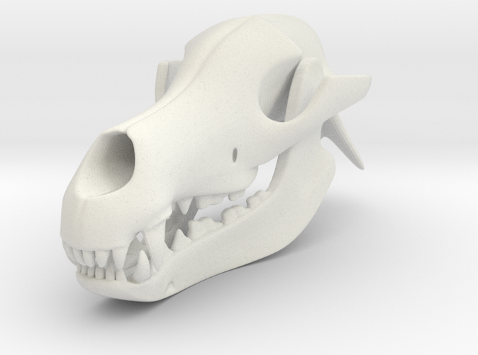 3D Printed Dog Skull