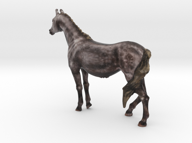 Arabian mare by ©2012-2014 RareBreed