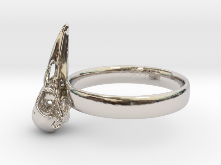 Crow Skull Ring 17mm - Size 7 3d printed