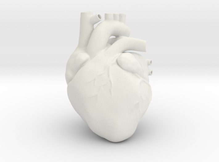 Anatomical Heart 3d printed