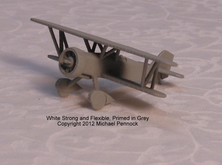 IW01A Curtiss Hawk II (1/100) 3d printed