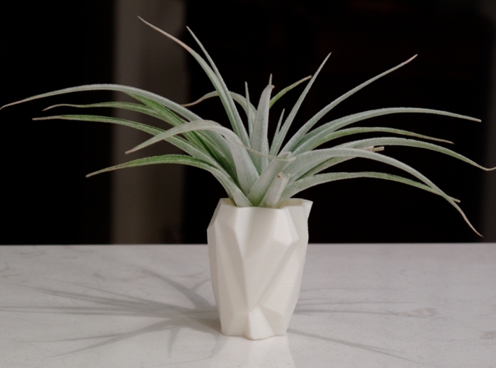 Ruba Rombic Vase for Air Plants 3d printed