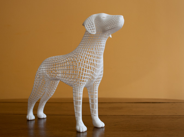 Wireframe dog 3d printed