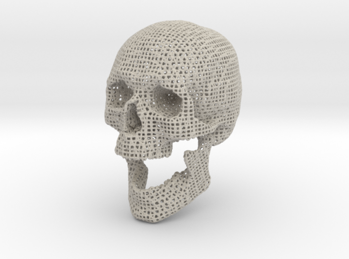 Wire Frame Human Skull Life Size 3d printed