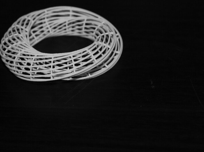 MOBIUS MESH 3d printed