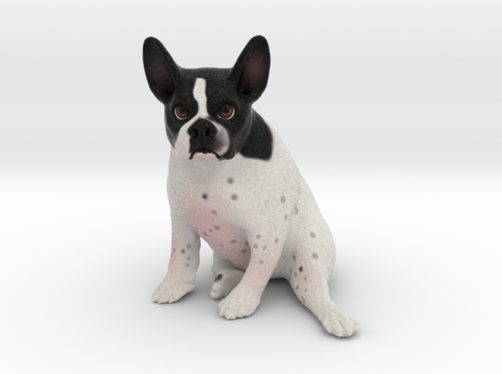 Custom Dog Figurine - Pocky 3d printed