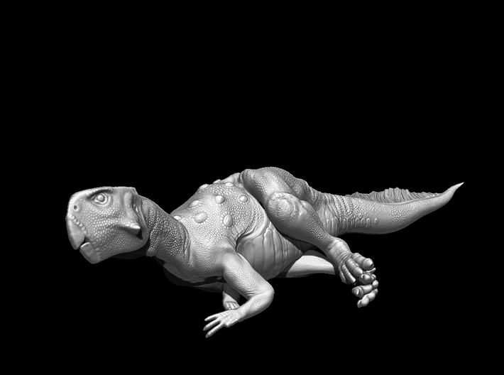 Psittacosaurus Resting 1:12 scale model 3d printed