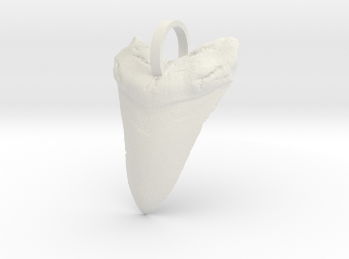 Megalodon Shark Tooth 3d printed