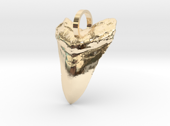 Megalodon Shark Tooth 3d printed