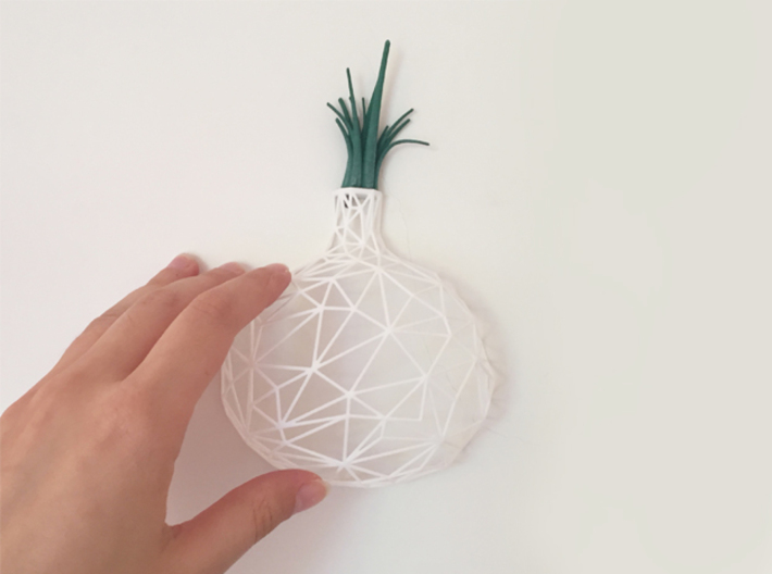 Onion Leaves 3d printed