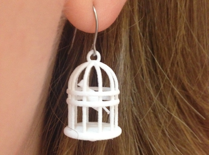 Bird Cage Earrings 3d printed