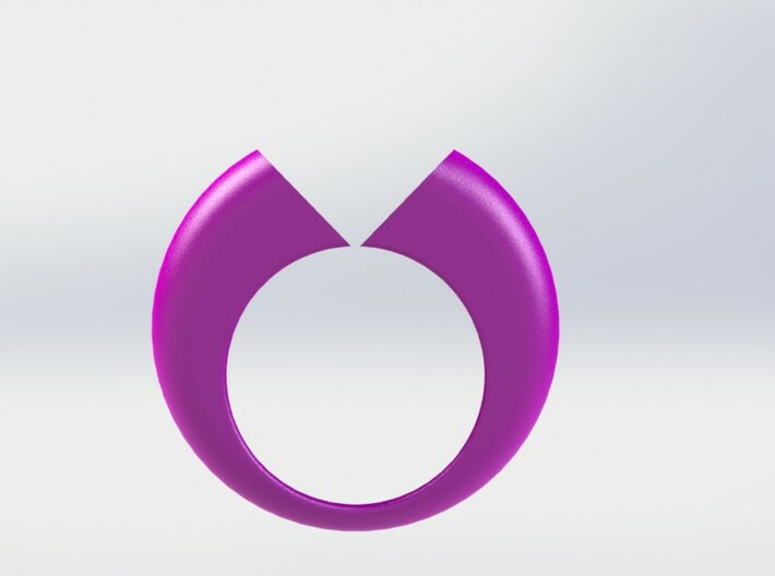 Lovers Ring 02 D19mm Size 9 3d printed 