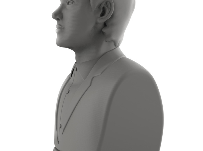 Niall Horan figurine 3d printed Niall Horan Bust
