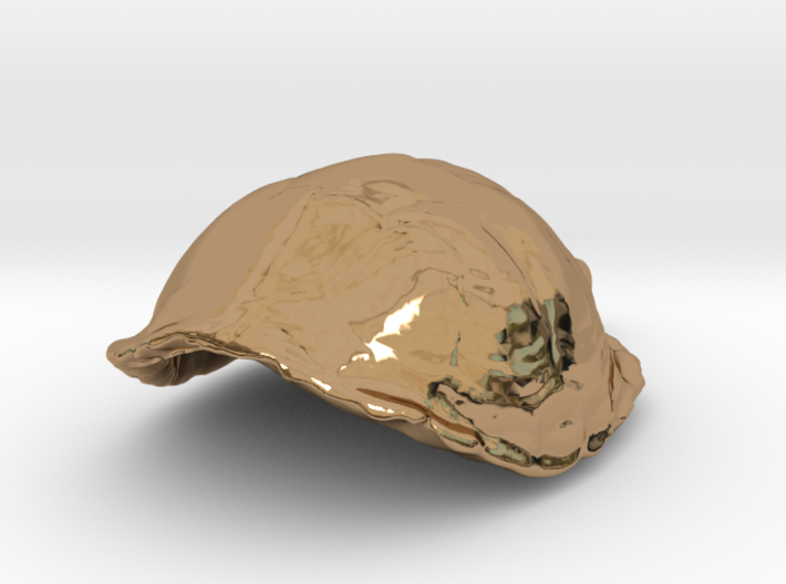 Eastern Box Turtle Pendant 3d printed