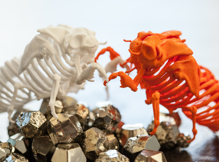 Cicada Nymph Skeleton 3d printed 