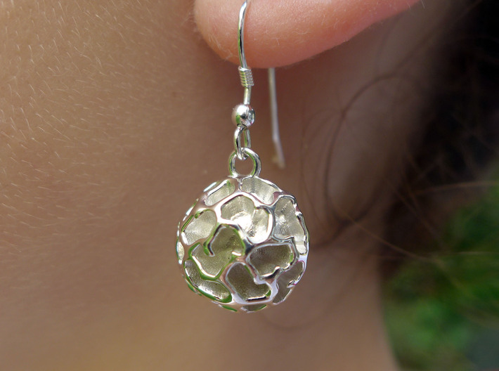 Fossil Acritarch Cymatiosphaera Earrings 3d printed Dinocyst earring in polished silver