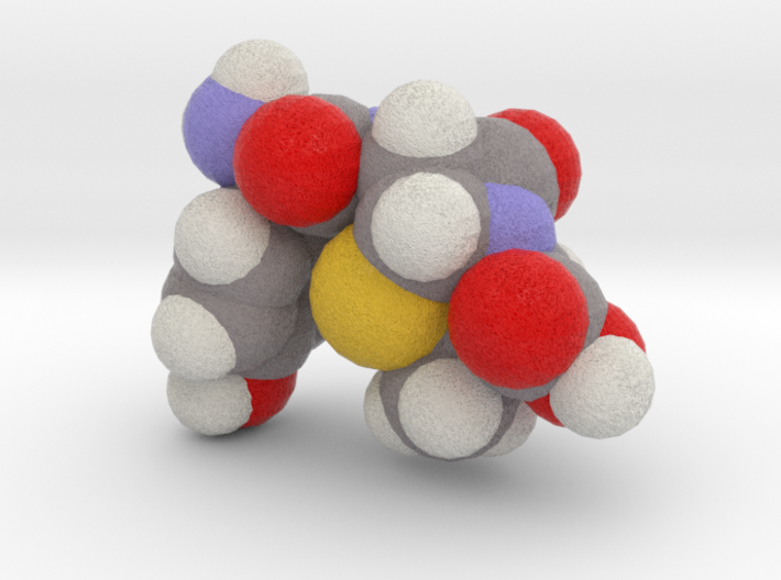 amoxicillin_space_fill 3d printed