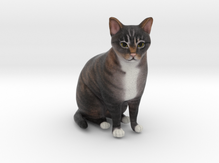 Custom Cat Figurine - Champ 3d printed
