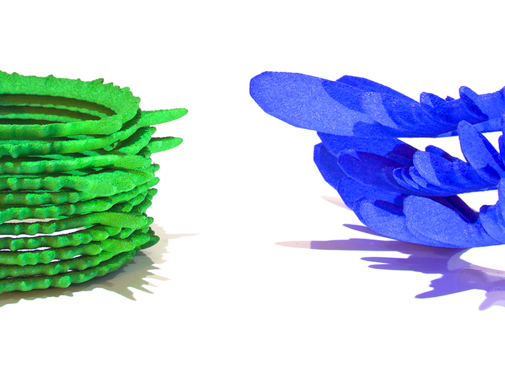 0.05 Seconds of Water Running (3.25 turns) 3d printed A photo of the first run of &quot;Water&quot; in blue and &quot;Insects&quot; in green