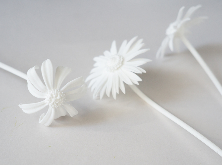 Picked Daisy 3 3d printed 