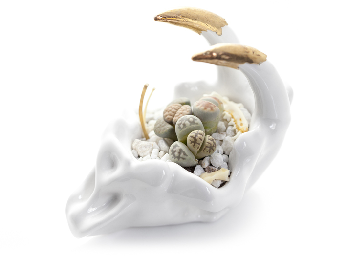 Smilodon Skull Planter 3d printed With optional bronze teeth