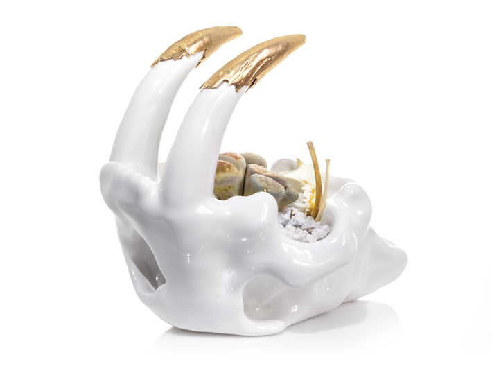 Smilodon Skull Planter 3d printed With optional bronze teeth