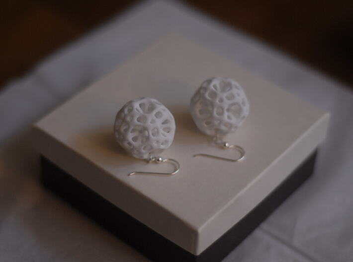Coral Dodecahedron Earrings 3d printed