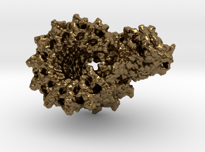 ATP Synthase F0 3d printed