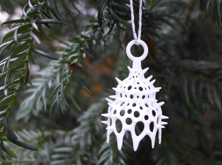 Calocyclas Ornament - Science Gift 3d printed