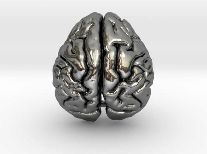 Orangutan Brain 3d printed