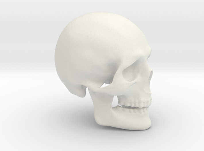 Skull Real 3d printed
