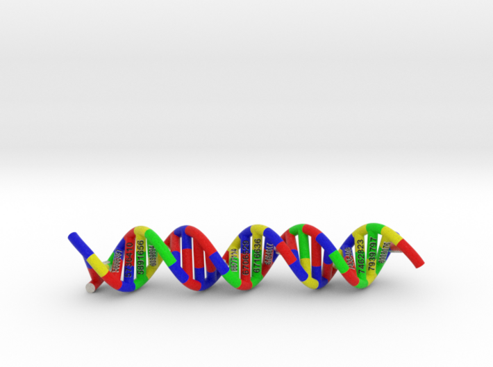 DNA Molecule Schneider PatentNr 3d printed 