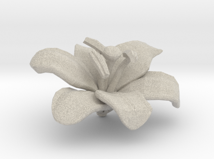 Lily Flower Rock 1 - S 3d printed 