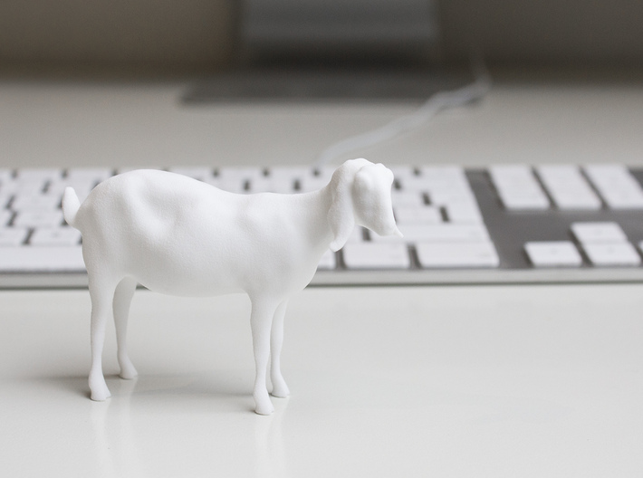 3D Scanned Nubian Goat  3d printed 